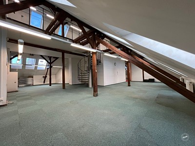 Gewerbefläche zur Miete, 400 m² (2 von 19)