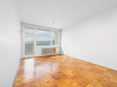 Prodej bytu 3+1 80 m² (Jednopodlažní)