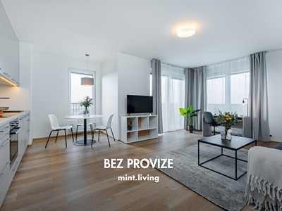 Pronájem bytu 2+kk 61 m²