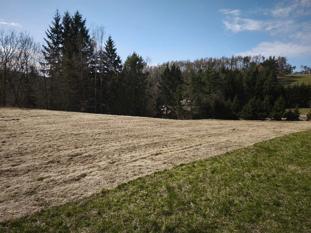Prodej stavebního pozemku 2924 m²