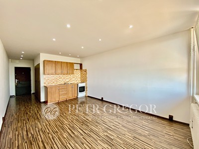 Pronájem bytu 1+kk 28 m² (Jednopodlažní)