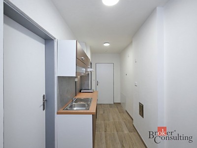Pronájem bytu 3+kk 39 m² — photo 5
