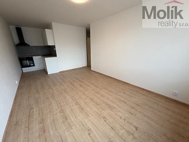Pronájem bytu 2+kk 39 m² – fotografie 3