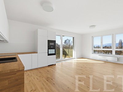 Pronájem bytu 3+kk 87 m²