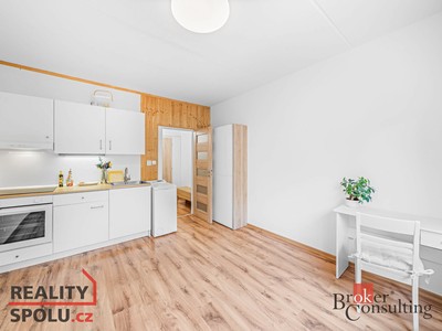 Pronájem bytu 1+kk 19 m²