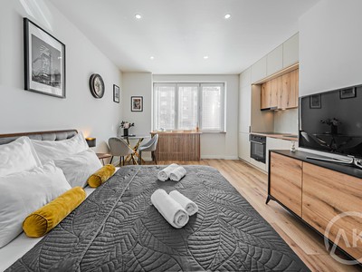 Pronájem bytu 1+kk 25 m²