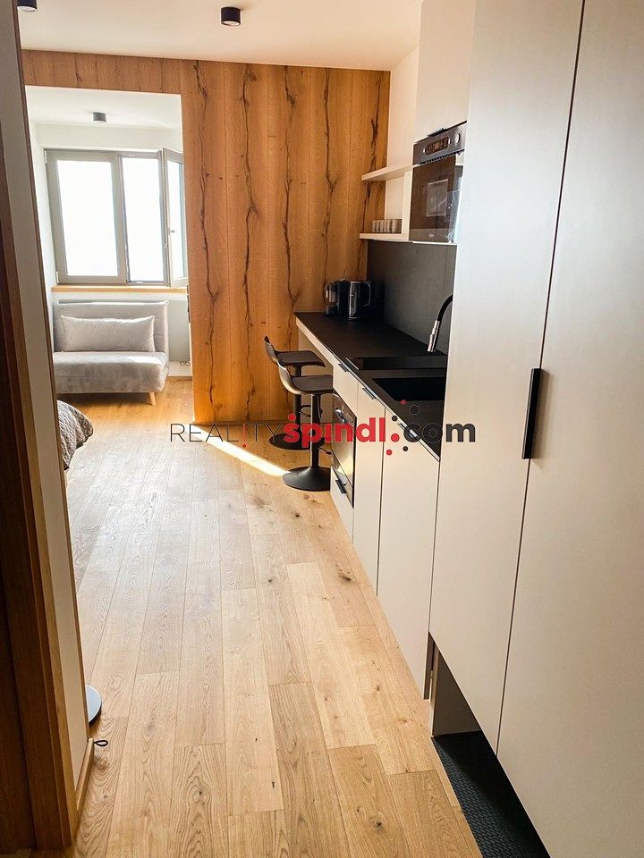 Pronájem bytu 1+kk 24 m² – fotografie 5