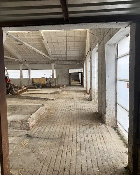 Pronájem skladového prostoru 1700 m², Tehovec – náhled fotky 3