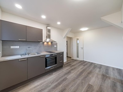 Pronájem bytu 1+kk 38 m²