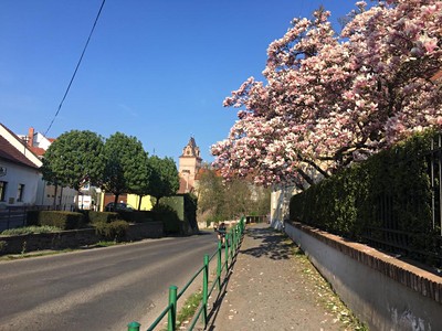 Prodej bytu 2+kk 84 m² (Loft)