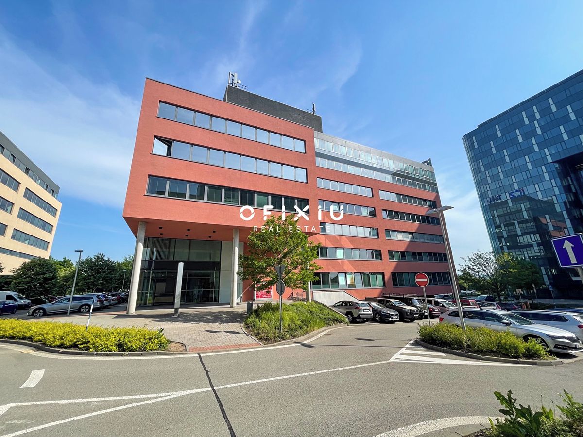 Pronájem kanceláře 370 m² – fotografie 2
