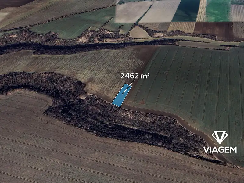 Prodej pole 2462 m², Vysoká – náhled fotky 1