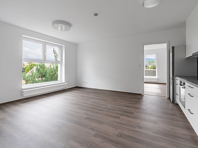 Prodej bytu 2+kk 59 m² (Jednopodlažní)