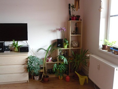 Prodej bytu 1+kk 33 m² (Jednopodlažní)