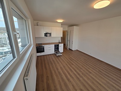 Pronájem bytu 1+kk 33 m² (Jednopodlažní)