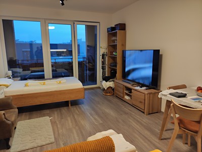 Pronájem bytu 1+kk 34 m² (Jednopodlažní)