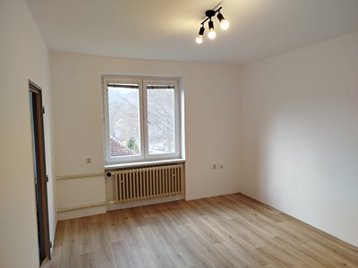 Pronájem bytu 2+1 56 m² (Jednopodlažní)