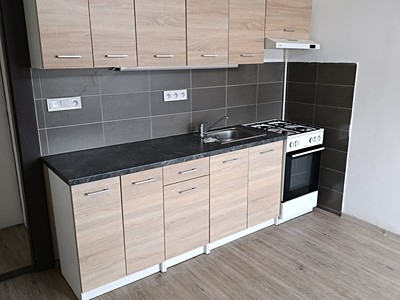 Pronájem bytu 1+1 46 m²