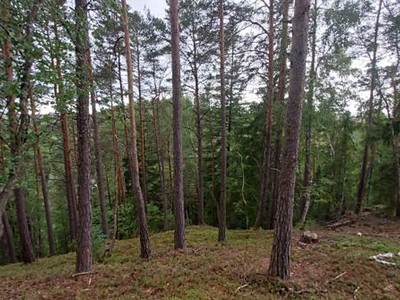 Grundstück zum Kauf, 14.638 m² (2 von 5)