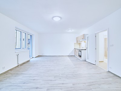 Pronájem bytu 1+kk 50 m² (Jednopodlažní)
