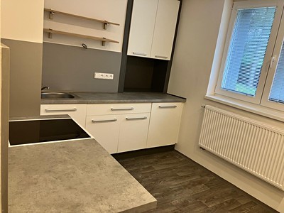 Pronájem bytu 1+1 38 m² (Jednopodlažní)