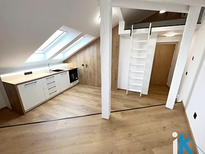 Pronájem bytu 1+kk 26 m²