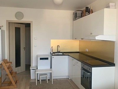 Pronájem bytu 1+kk 33 m²