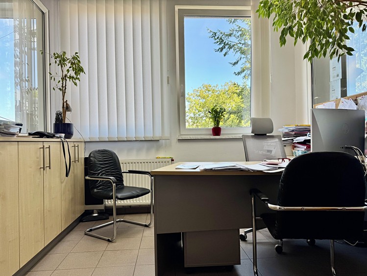 Pronájem komerčního prostoru, 4 027 m² (5 z 29)