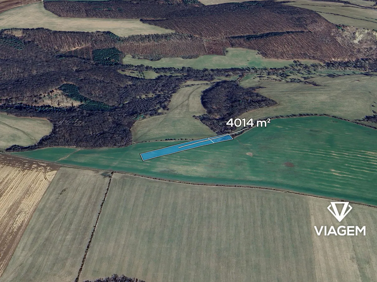 Prodej podílu 1/4 pole 1003 m²