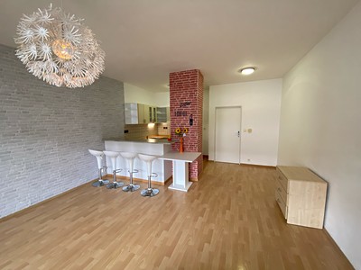 Pronájem bytu 1+kk 51 m² (Jednopodlažní)