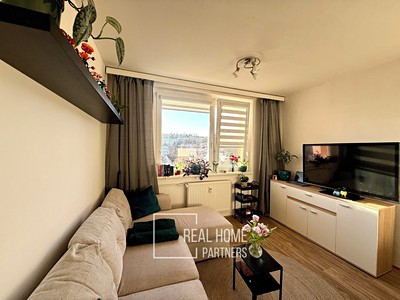 Pronájem bytu 1+1 37 m²