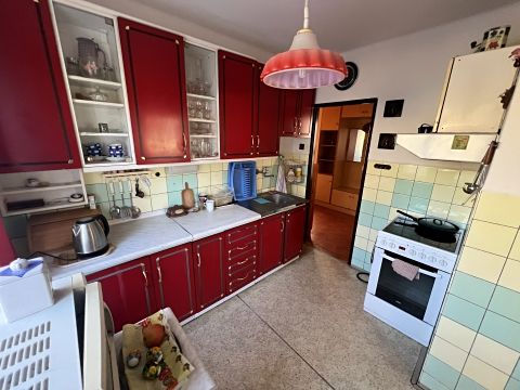 Prodej rodinného domu 220 m², pozemek 932 m² – fotografie 4