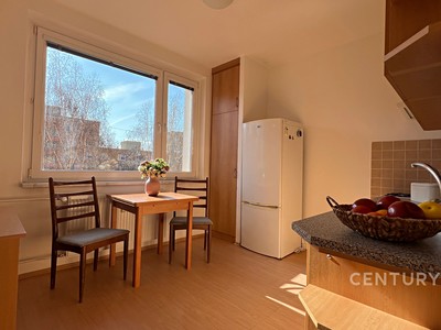 Pronájem bytu 1+1 41 m²