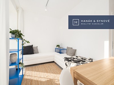 Pronájem bytu 1+kk 26 m² (Jednopodlažní)