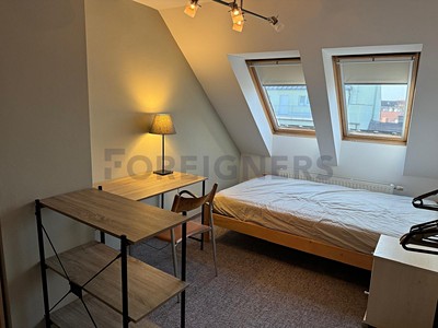 Pronájem  pokoje 13 m²
