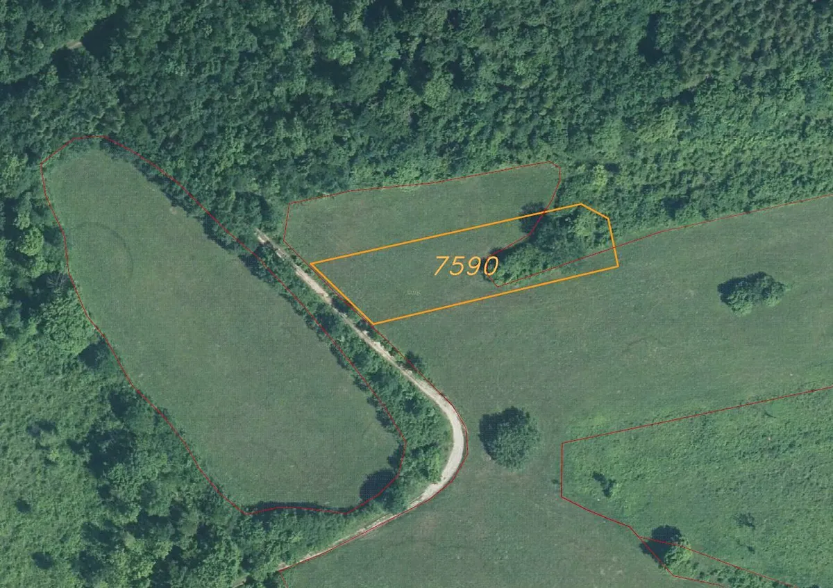 Prodej pole 1556 m²