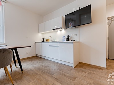 Pronájem bytu 1+kk 52 m²