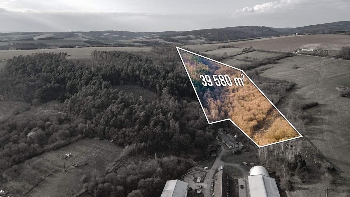 Prodej louky 39580 m² – fotografie 2