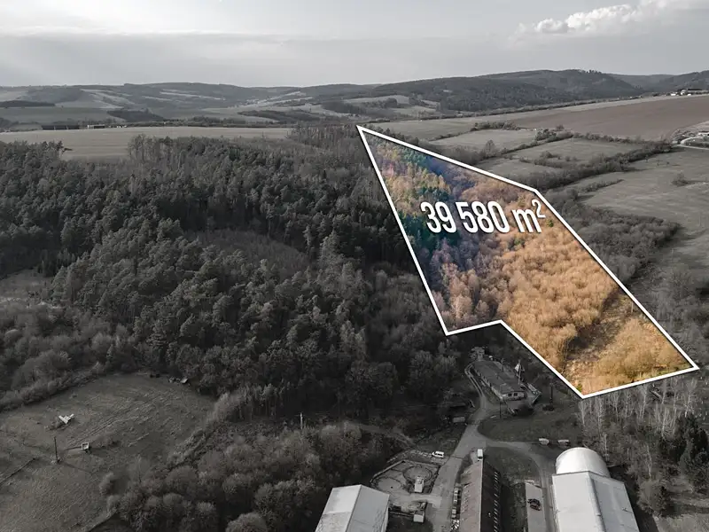 Prodej louky 39580 m², Luhačovice – náhled fotky 2
