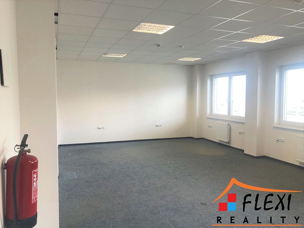 Pronájem obchodního prostoru 167 m² – fotografie 5