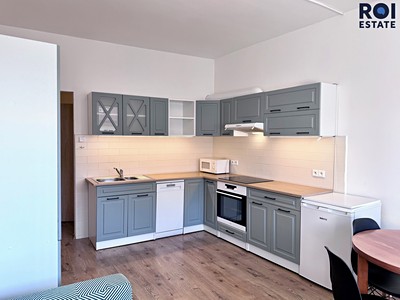 Pronájem bytu 3+kk 48 m²