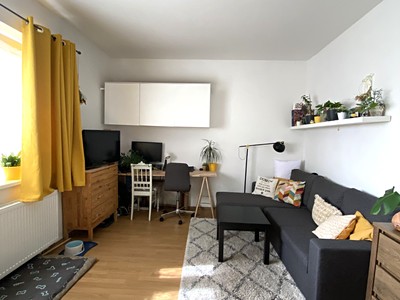 Pronájem bytu 1+1 34 m² (Jednopodlažní)