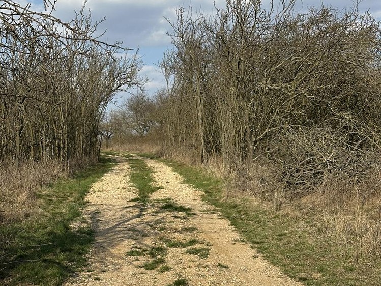 Ostatní