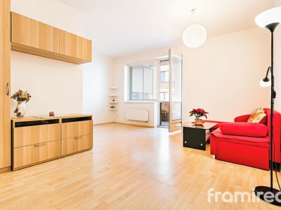 Pronájem bytu 1+kk 36 m² (Jednopodlažní)