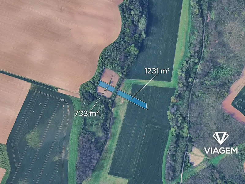 Prodej pole 1964 m², Všechovice – náhled fotky 2