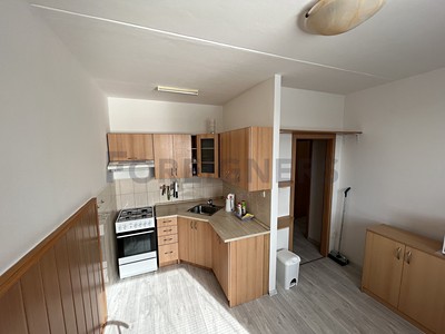 Pronájem bytu 1+1 47 m²