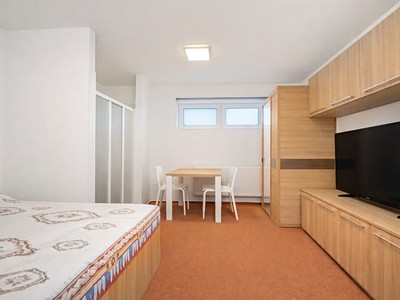 Prodej bytu 1+1 31 m²