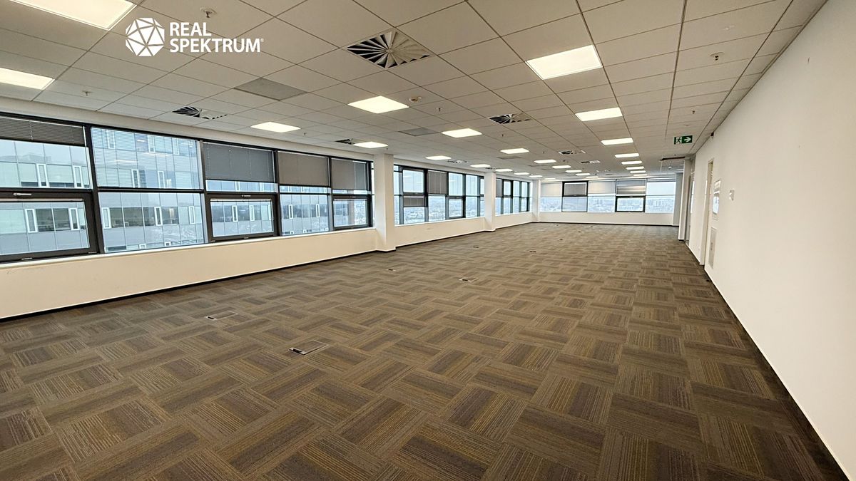 Pronájem kanceláře 240 m² – fotografie 4