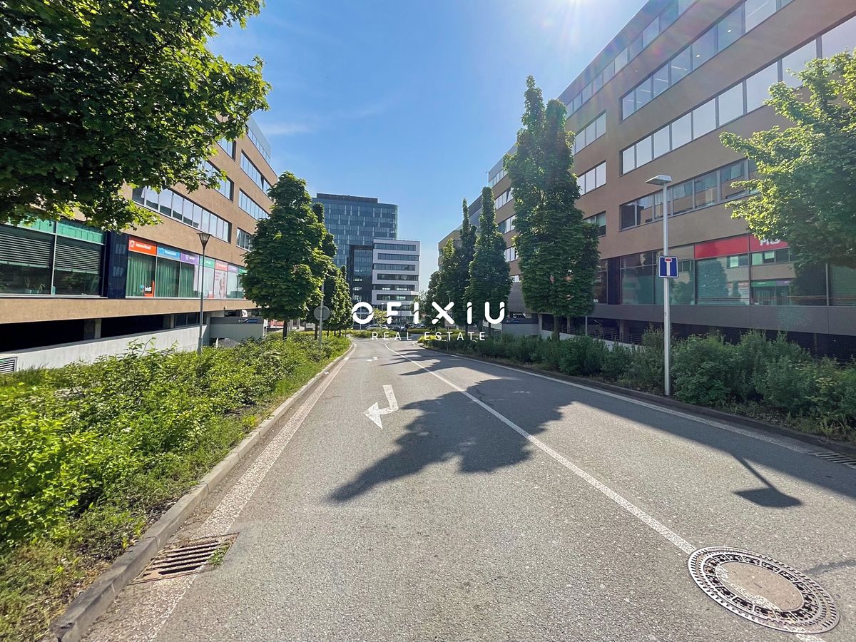 Pronájem kanceláře 370 m² – fotografie 3