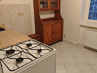 Pronájem bytu 1+1 35 m²